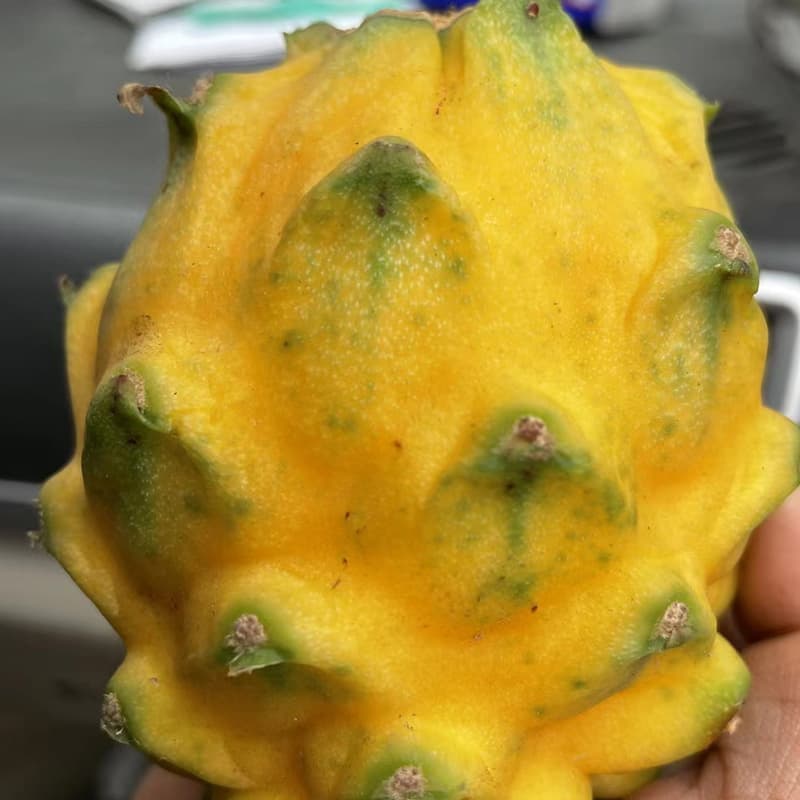 images/1657879285715dragon fruit sorting equipment.jpg